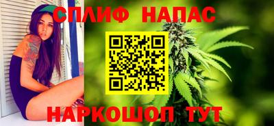 гидропоника Пугачёв