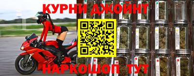гидропоника Пугачёв