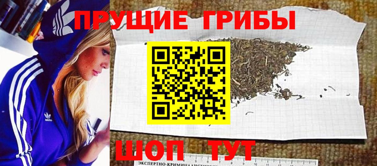 Галлюциногенные грибы Psilocybine cubensis  Вход с VPN  Псилоцибиновые грибы Psilocybine cubensis  Пыть-Ях 